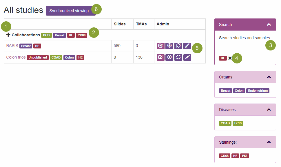 Study Overview